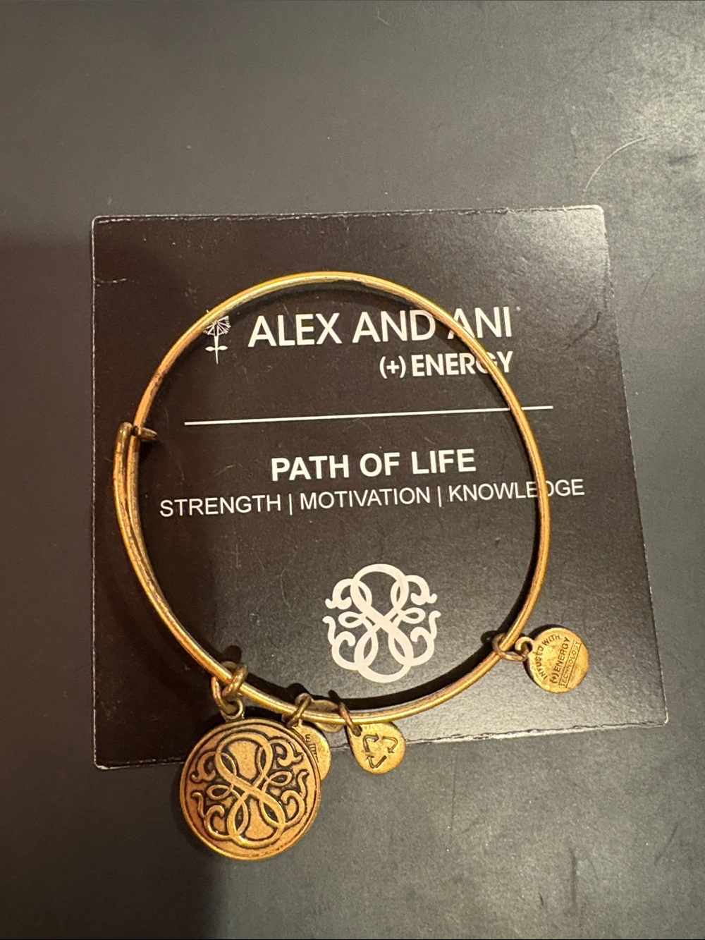 Alex and Ani Gold Path of Life Charm Bangle